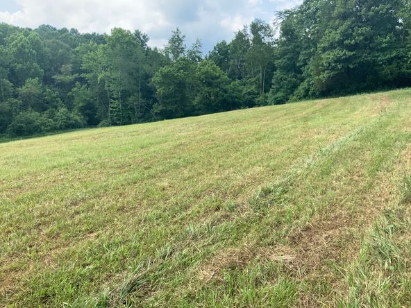 1915 Mount Zion Rd, Frankfort, KY 40601